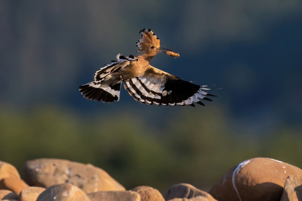 Photograph by Nikolay Stoyanov