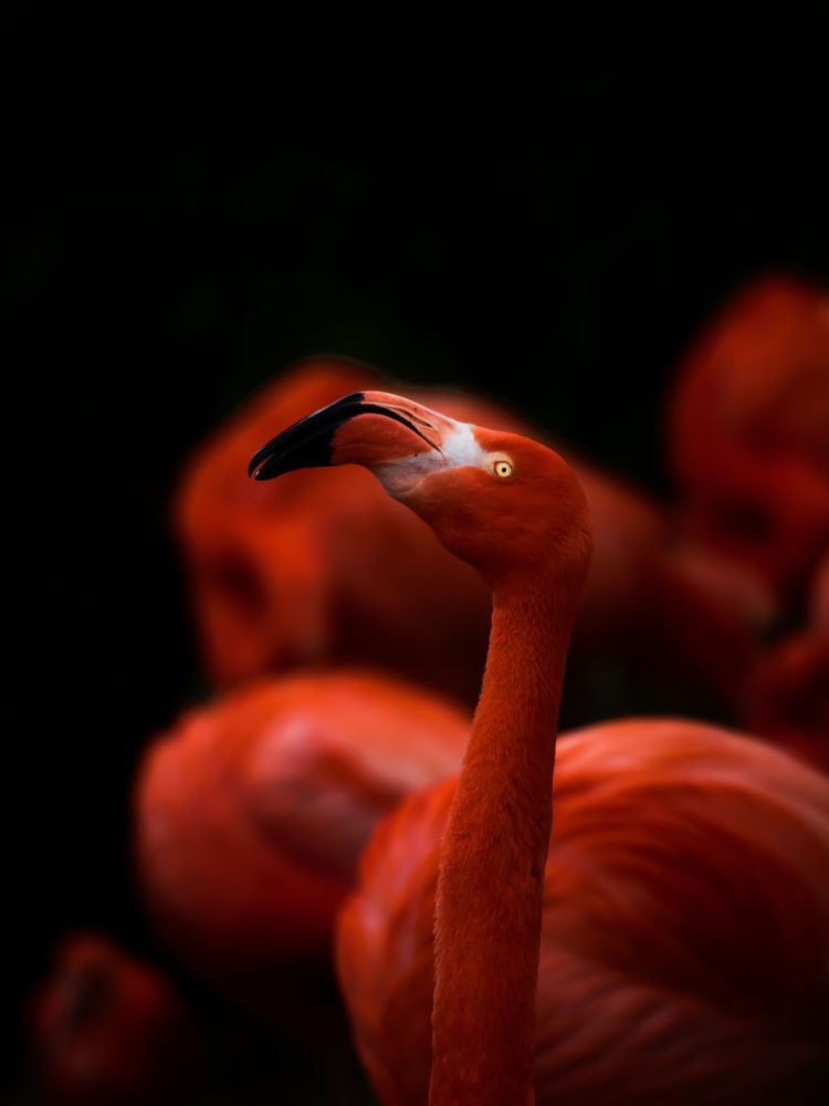 Фотография автора Jaroslav Hanzalík