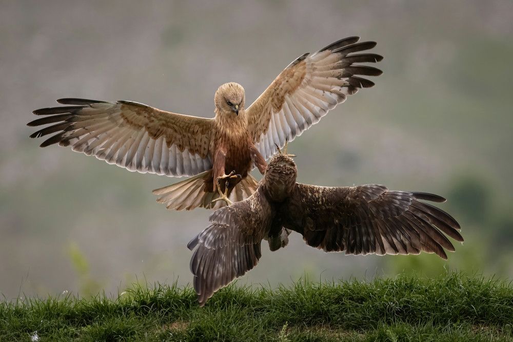 Photograph by Nikolay Stoyanov