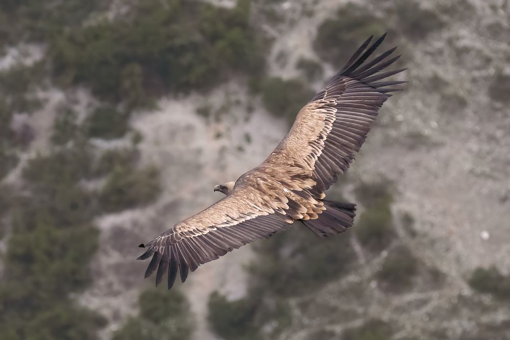 Photograph by Константин Абрамов