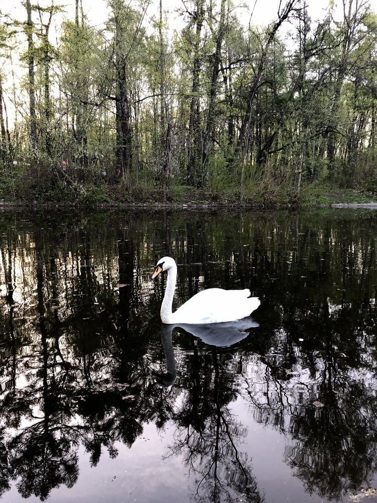 Photograph by Ирина Швейнова