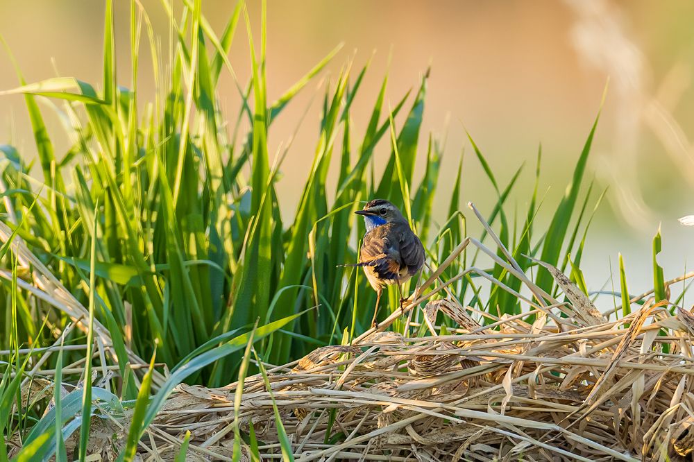 Photograph by Константин Абрамов