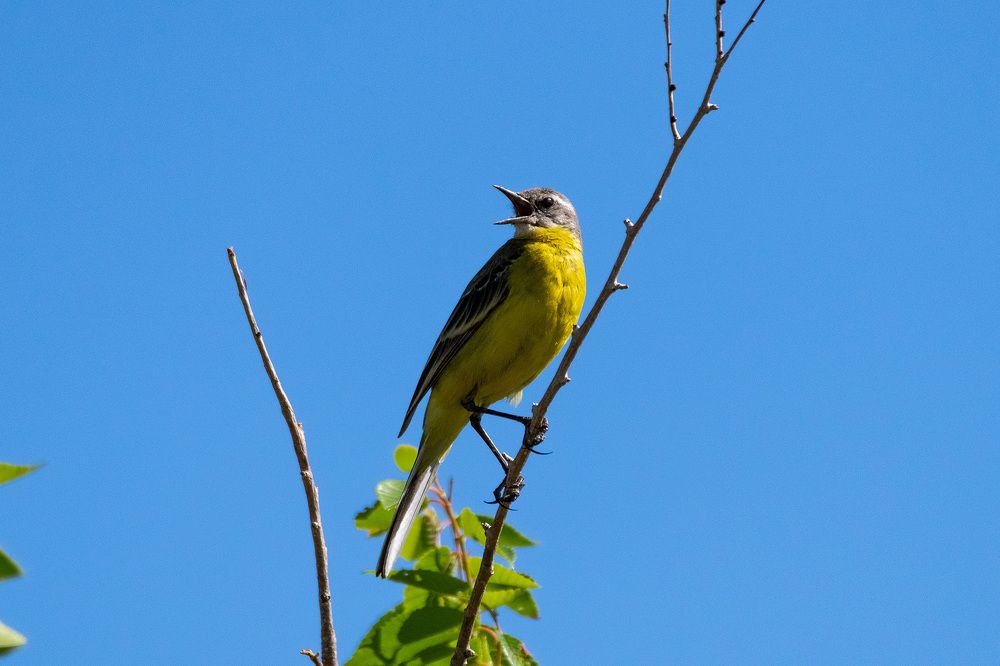 Photograph by Олег Беспалов