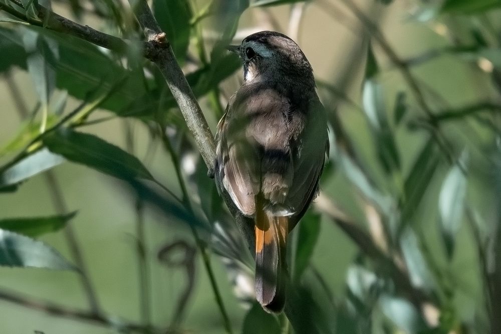 Photograph by Олег Беспалов