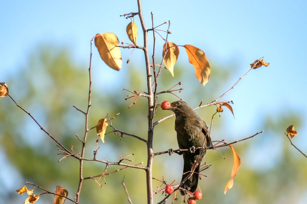 Photograph by Олег Беспалов