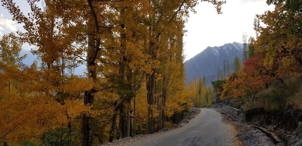 Photograph by Ishaq Karim