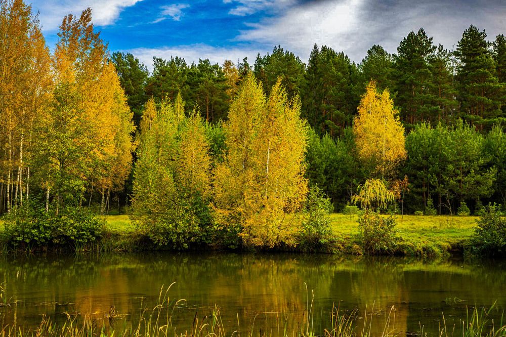 Фотография автора Екатерина Счасная