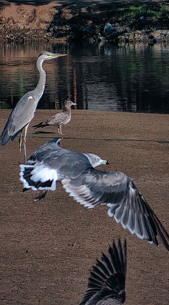 Photograph by Светлана Хамидулина