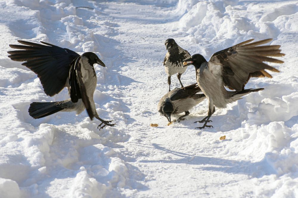 Это моя вкусняшка!