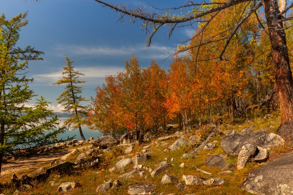 Photograph by Денис Дорошенко