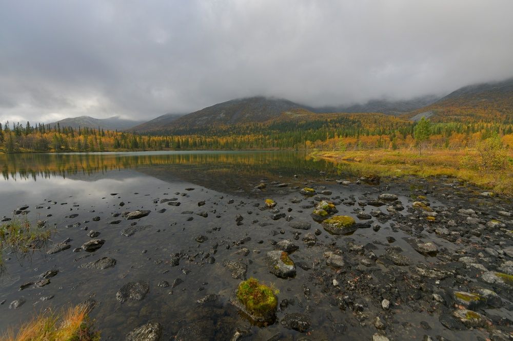 Photograph by Margareth Tikhonova