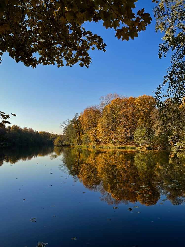 Фотография автора Юлия Косинова