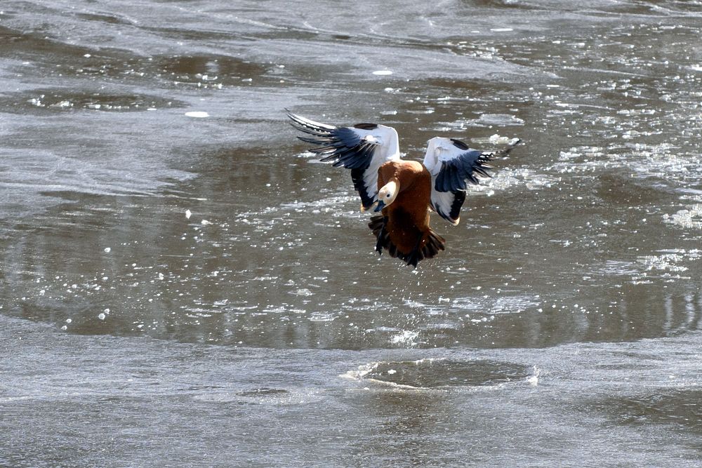 На курсе и на глиссаде!