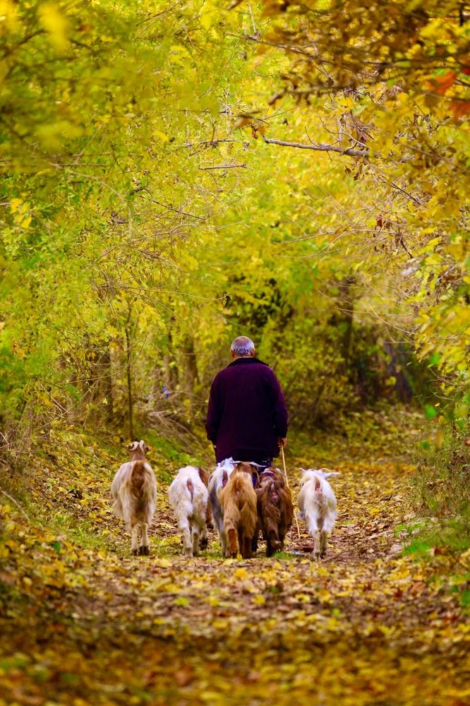 Photograph by Onur Polat