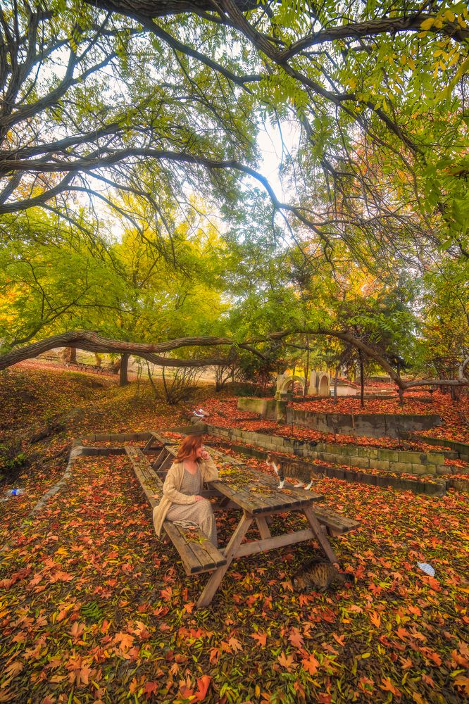 Photograph by Onur Polat