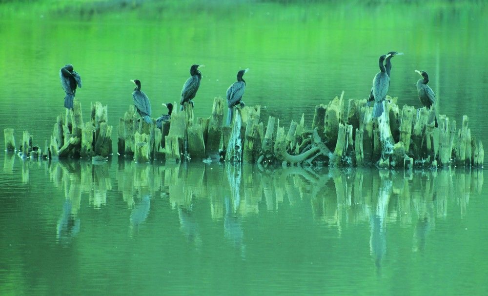 Photograph by Régis Santos