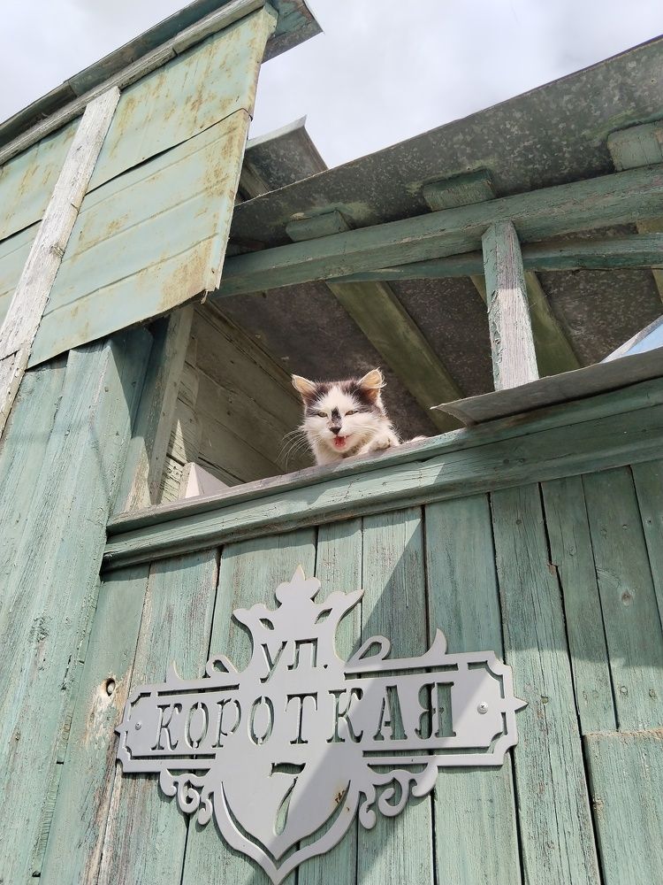 Photograph by Ольга Чернова