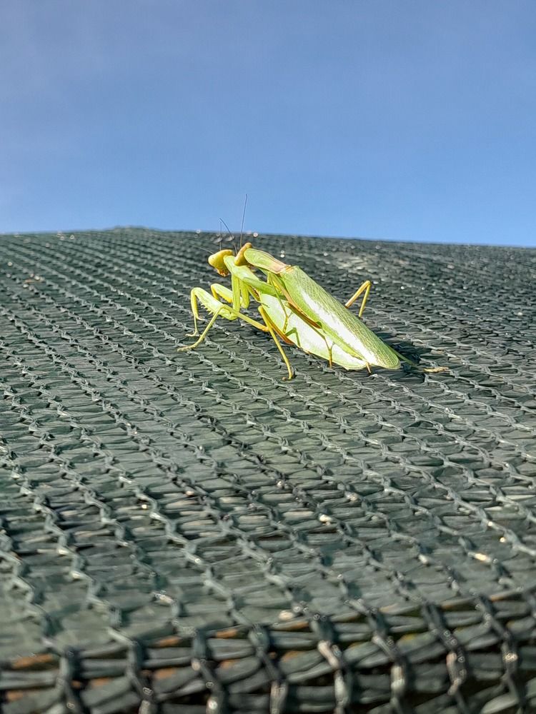 Photograph by Татьяна Ситникова