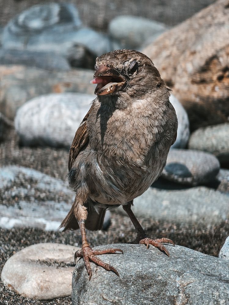 Фотография автора Анна Мисякова