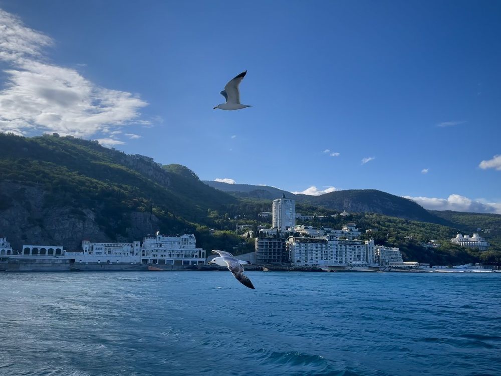 Фотография автора Юлия Косинова