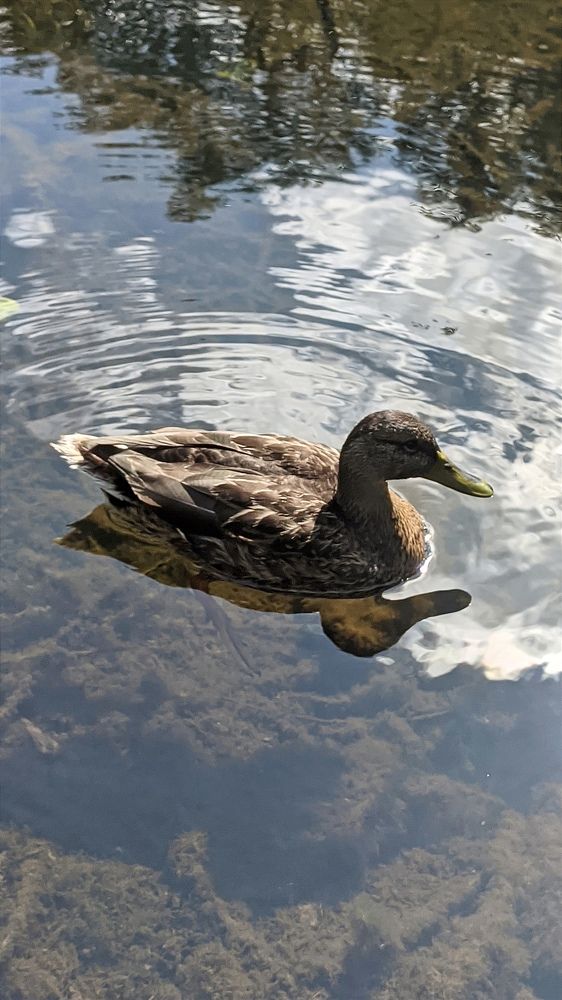 Фотография автора Васильева Ирина