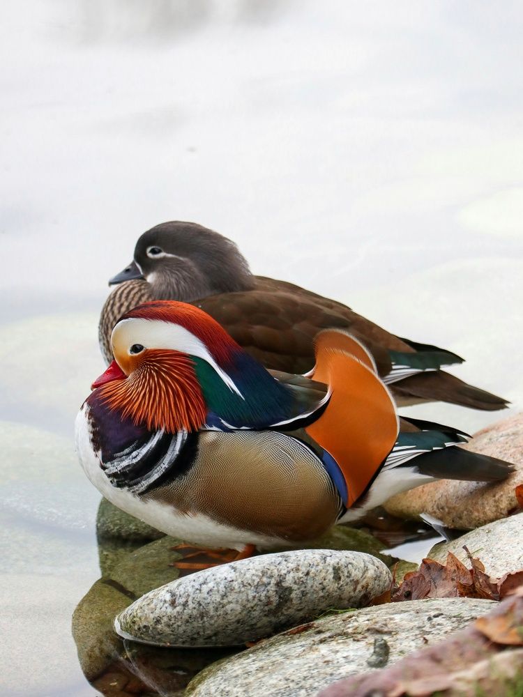 Photograph by Ирина Корабельникова