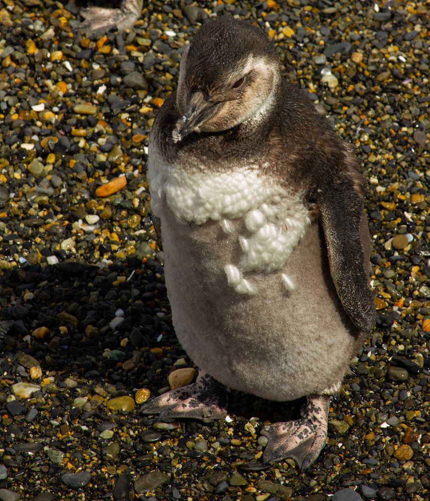 Photograph by Ekaterina Narozhnova