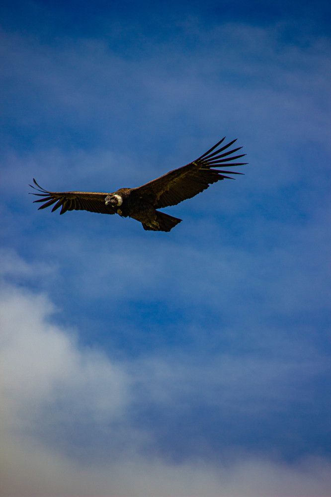 Photograph by Ekaterina Narozhnova