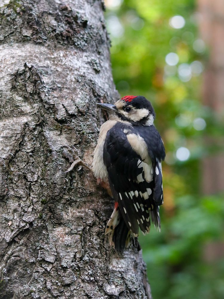 Photograph by Ирина Корабельникова