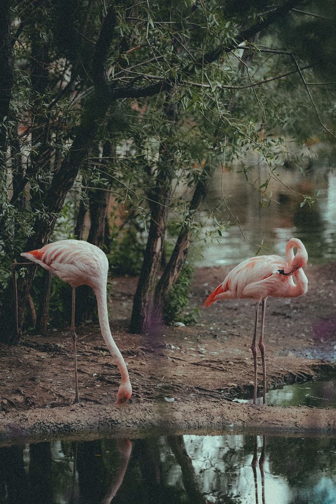 Photograph by Эльмира Самойлова
