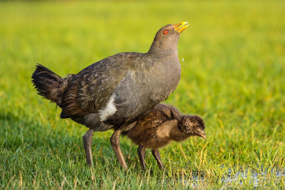 Photograph by Alexander Babych