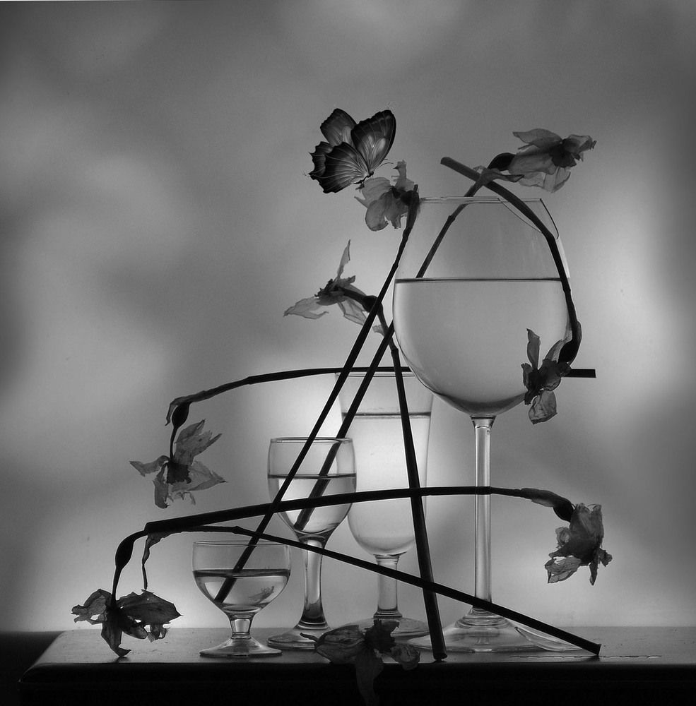 Фотография автора Александр Зарх