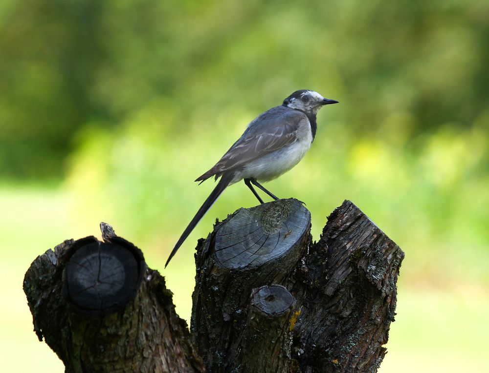 Photograph by Agita Leimane