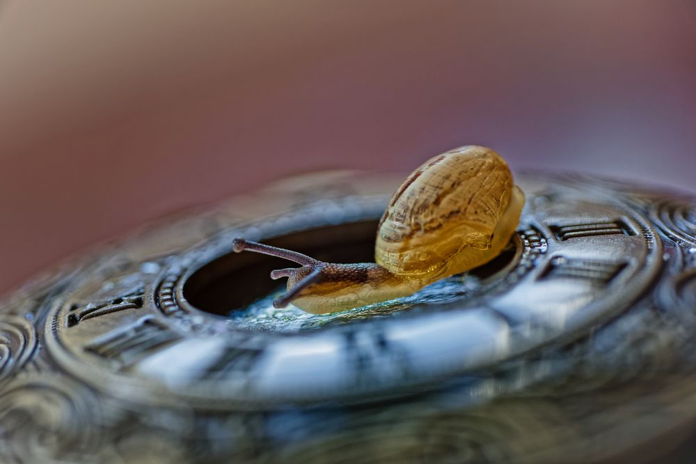 Фотография автора David Solodar