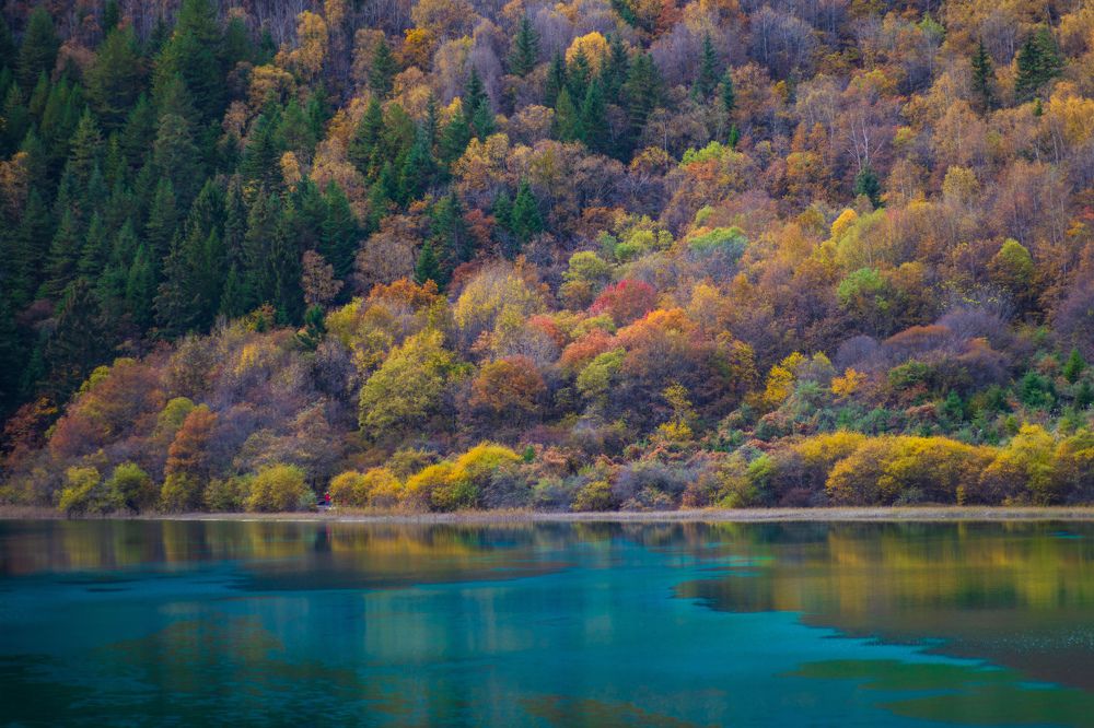 Фотография автора Jian Ma