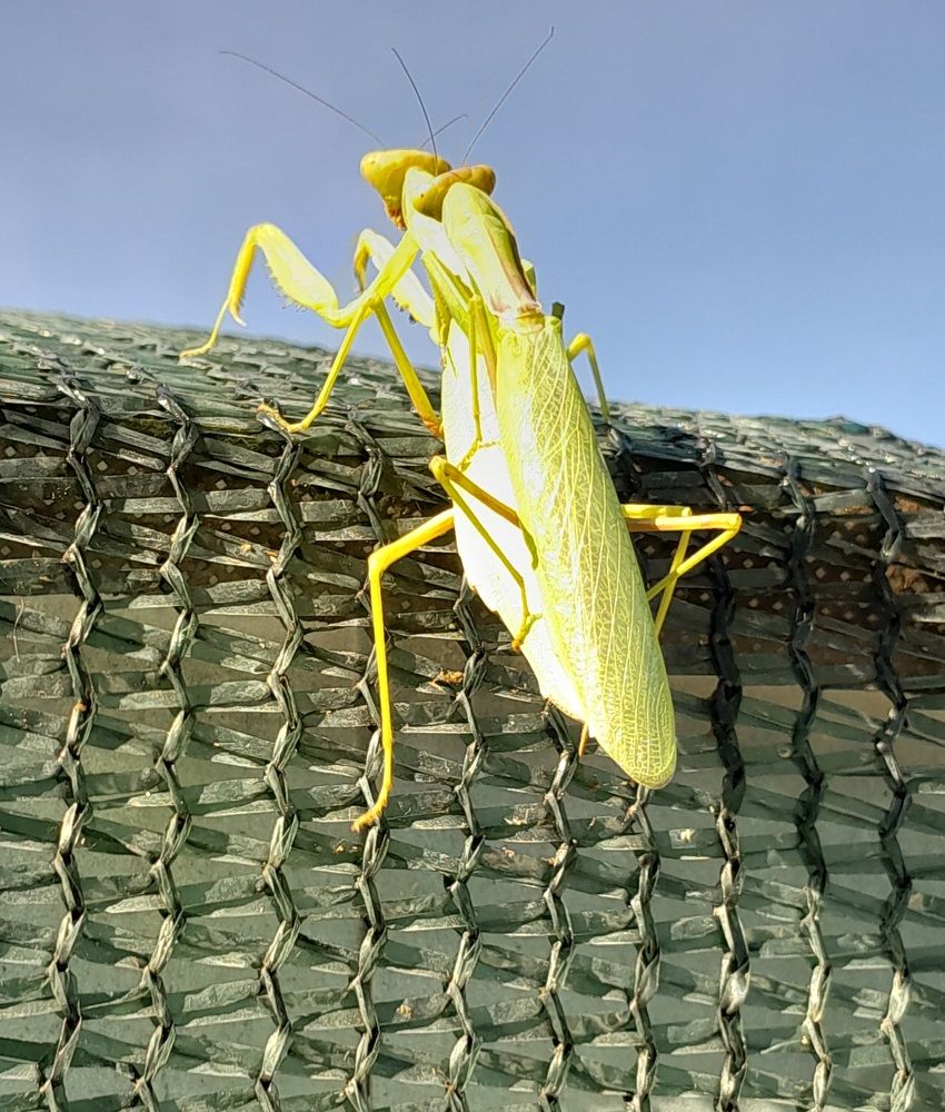 Photograph by Татьяна Ситникова