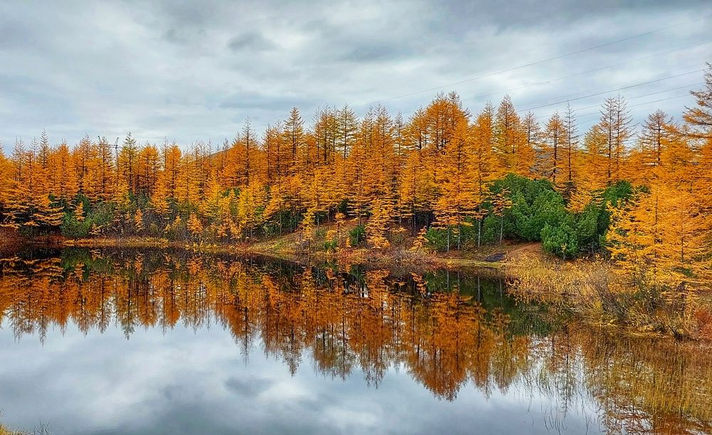 Photograph by Людмила Юрчук