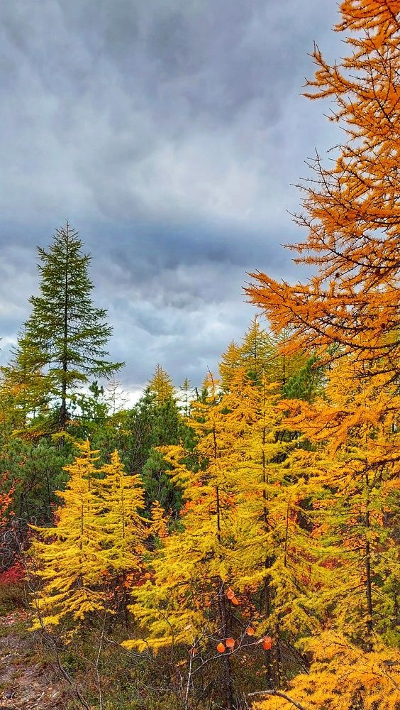 Photograph by Людмила Юрчук