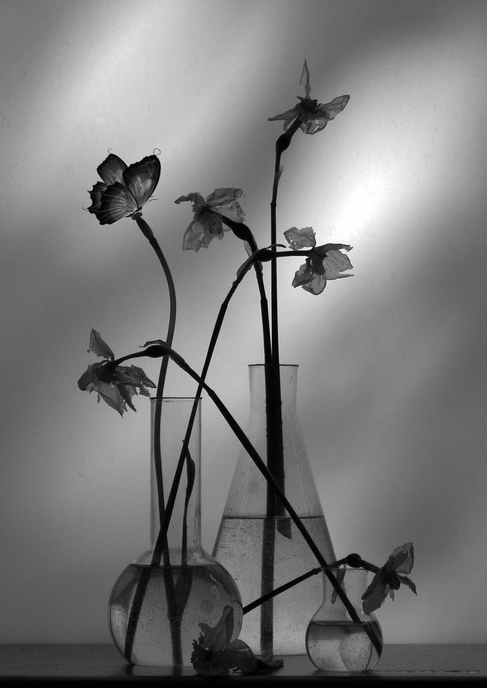 Фотография автора Александр Зарх