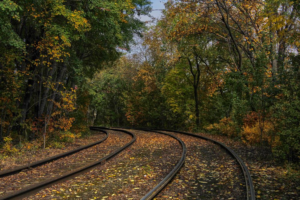 Фотография автора Наталия Мащенко