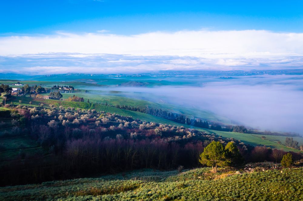 Photograph by Amine Be Romdhane