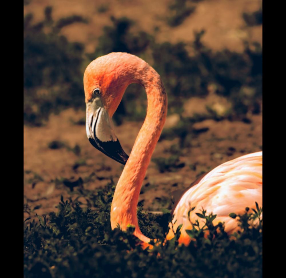 Фотография автора Jagannath Madduri