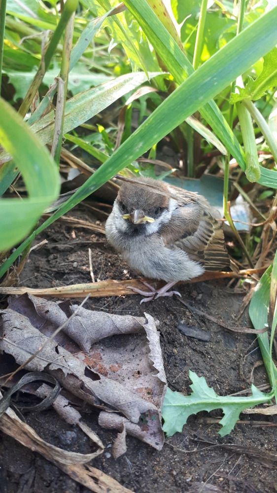 Photograph by Tatiana Kirillova