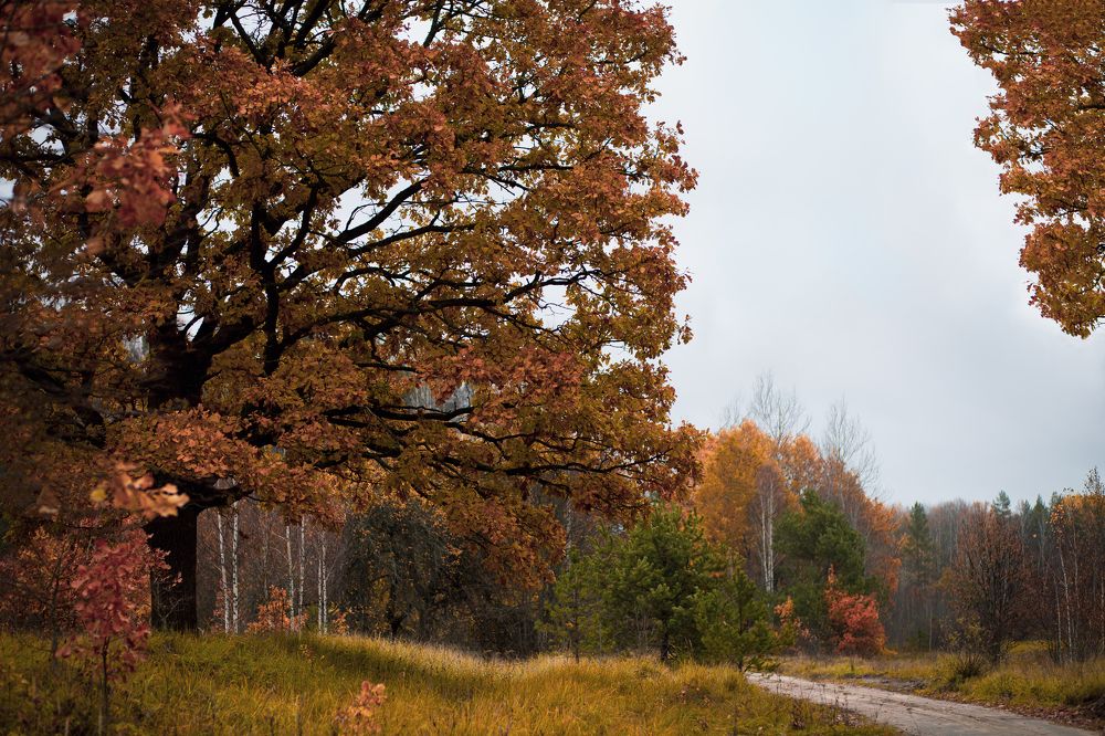 Photograph by Марина Пехтерева