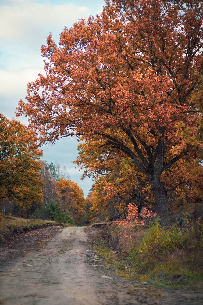 Photograph by Марина Пехтерева