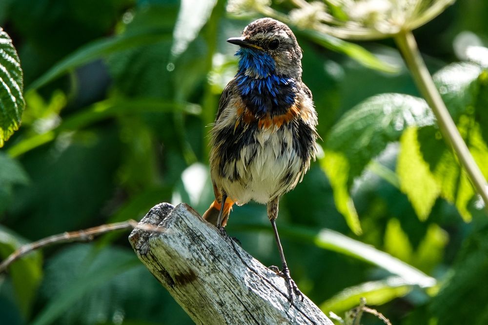 Photograph by Zakharov Matvey