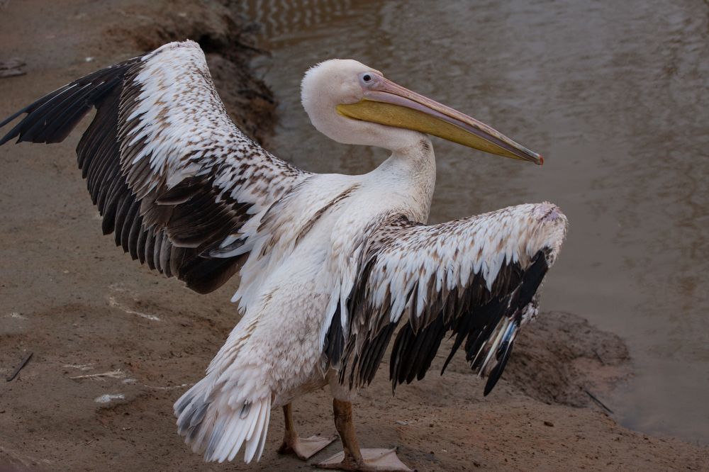 Photograph by Сергей Слукин