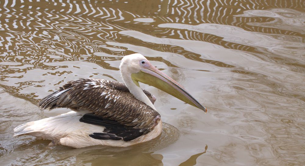 Photograph by Сергей Слукин