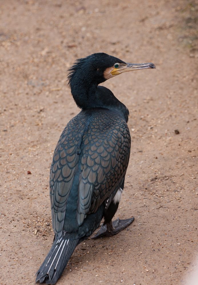 Photograph by Сергей Слукин