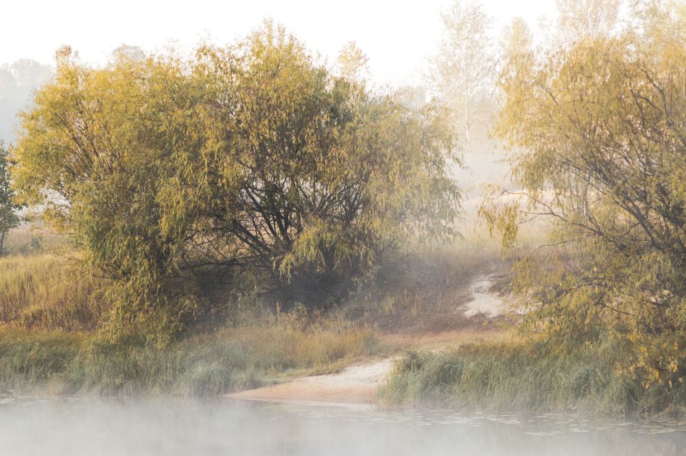 Photograph by Елена Квасова